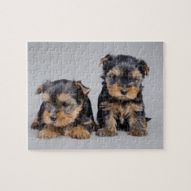 Puzzle Yorkies (Horizontal)