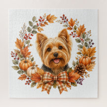 Yorkshire Terrier Automne