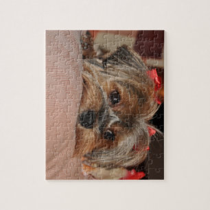 Puzzle Yorkshire Terrier mignon Yorkie avec les arcs