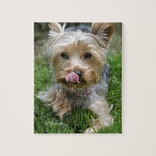 Puzzle Yorkshire Terrier Puppy - "jjhelene design"