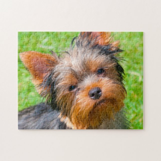 Puzzle Yorkshire Terrier qui regarde vers le haut (Horizontal)