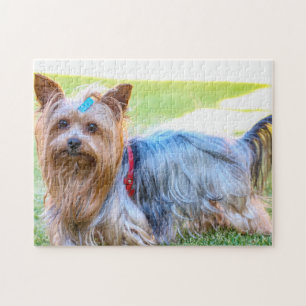 Puzzle Yorkshire Terrier Yorkie race Chien chiot
