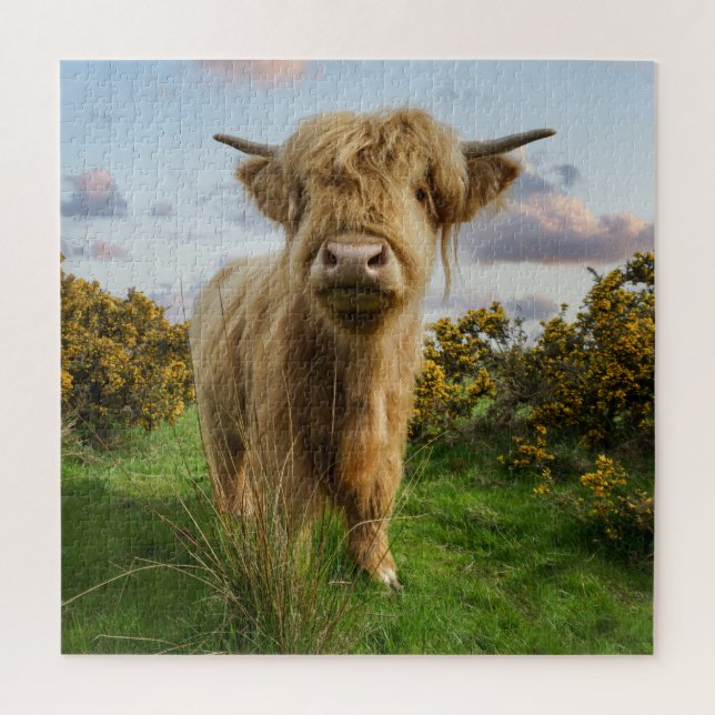 Puzzle Young Highland Cow (Vertical)
