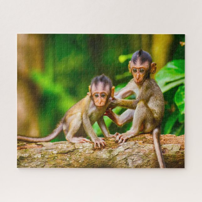 Puzzle Young Monkeys. (Horizontal)