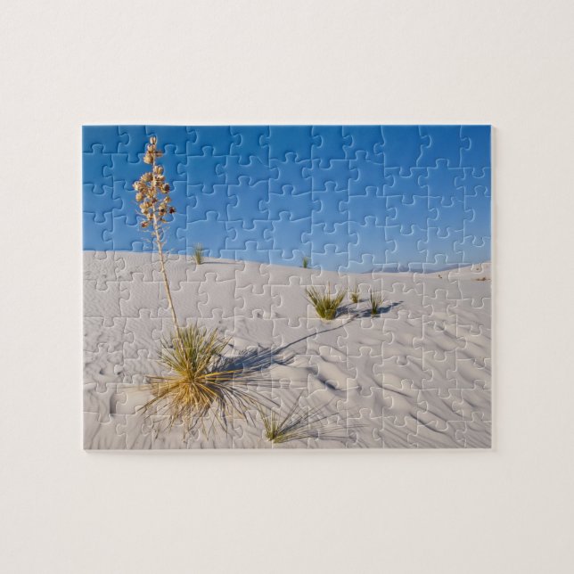 Puzzle Yucca éléphant, ombre longue, dunes transversales (Horizontal)