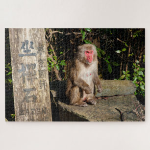 Puzzle ZaZen Temple Monkey Arashiyama Kyoto Japon