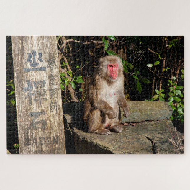 Puzzle ZaZen Temple Monkey Arashiyama Kyoto Japon (Horizontal)