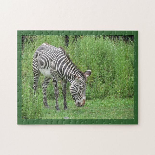 Puzzle Zebra (Horizontal)