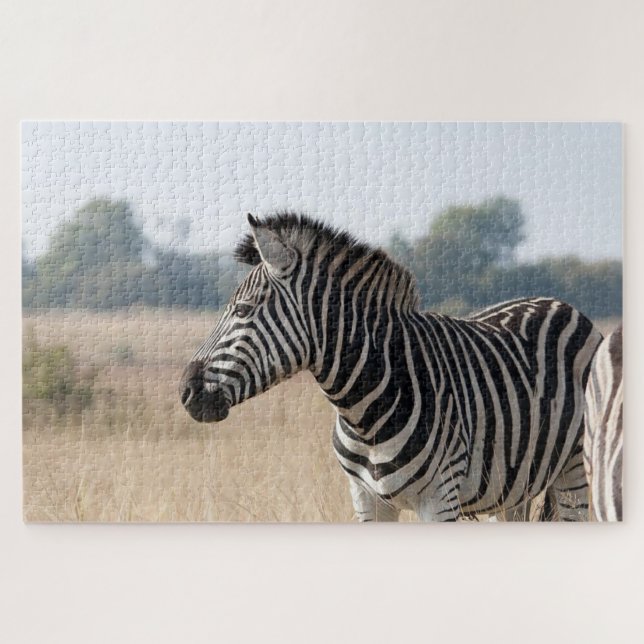 Puzzle Zebra au safari (Horizontal)
