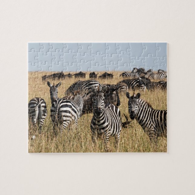 Puzzle Zebra Jigsaw de Grant (Horizontal)