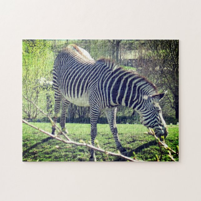Puzzle Zebra Relaxing Self-Care (Horizontal)