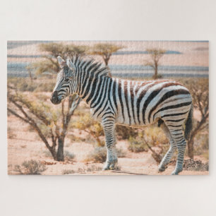 Puzzle Zebra sur Safari