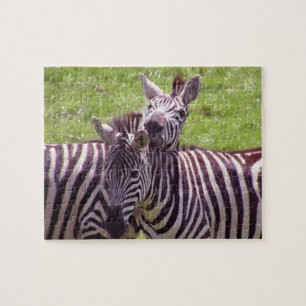 Puzzle Zèbre