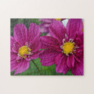 Puzzle Zinnia violette