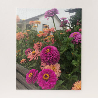 Puzzle Zinnias magenta dans le jardin, San Mateo