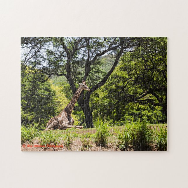 Puzzle Zoo de Giraffe Honolulu (Horizontal)