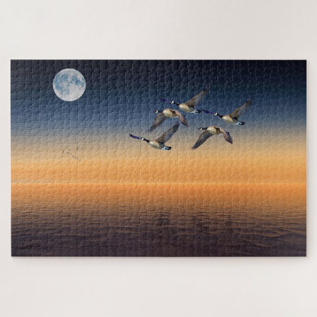 Puzzles (Horizontal)