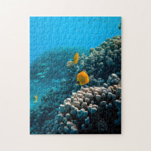 Puzzles aquatiques Photos marines Puzzle de poisso