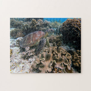 Puzzles aquatiques Photos marines Puzzle de poisso