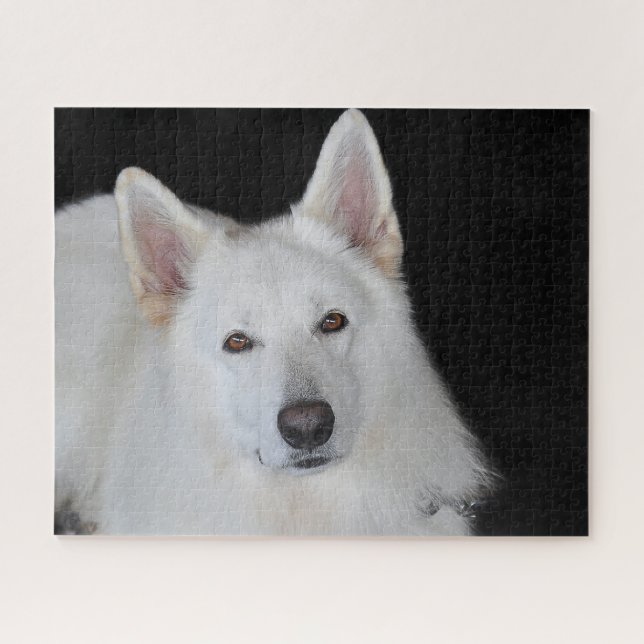 Puzzles Berger Blanc Allemand. (Horizontal)