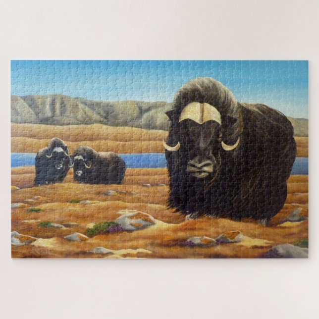 Puzzles canadiens d'art faunique - Muskox (Horizontal)