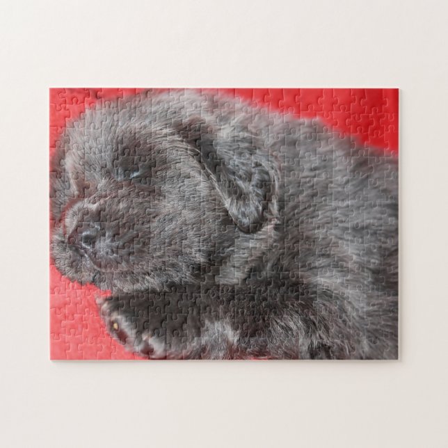 Puzzles de chien Mastiff Tibétain. (Horizontal)
