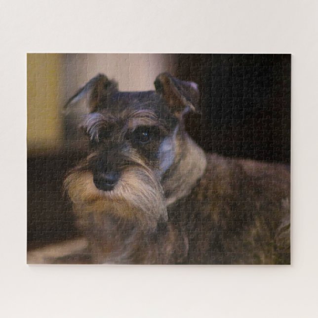 Puzzles de chien Schnauzer. (Horizontal)