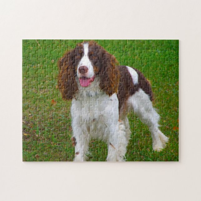 Puzzles de chien Springer Spaniel. (Horizontal)