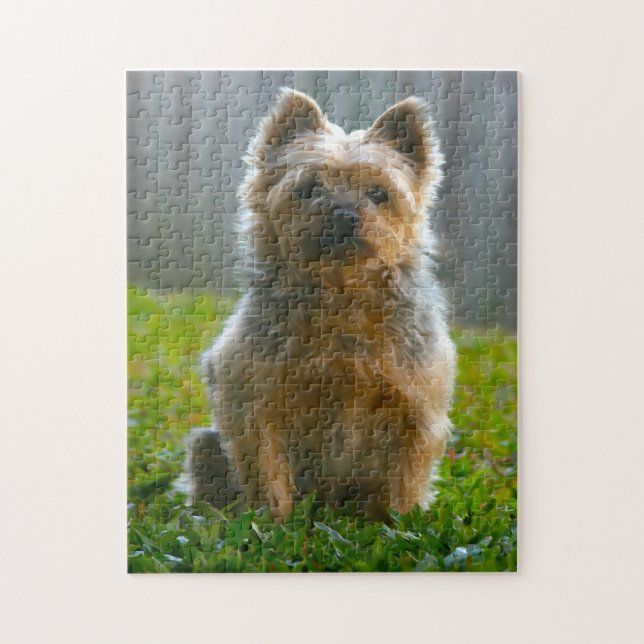 Puzzles de chien Terrier Australien. (Vertical)