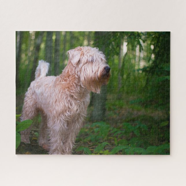 Puzzles de chien Terrier Irlandais. (Horizontal)