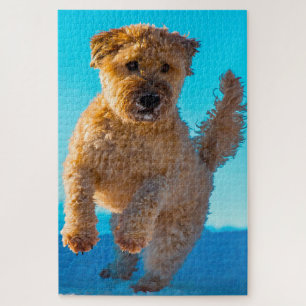 Puzzles de chien Terrier Irlandais.