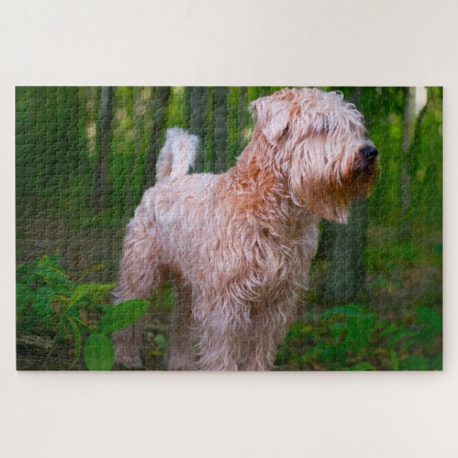 Puzzles de chien Terrier Irlandais. (Horizontal)