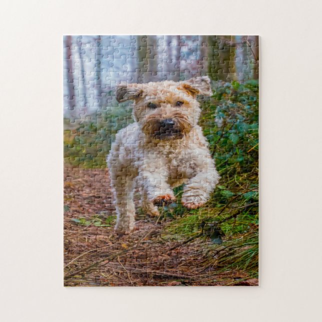 Puzzles de chien Terrier Irlandais. (Vertical)
