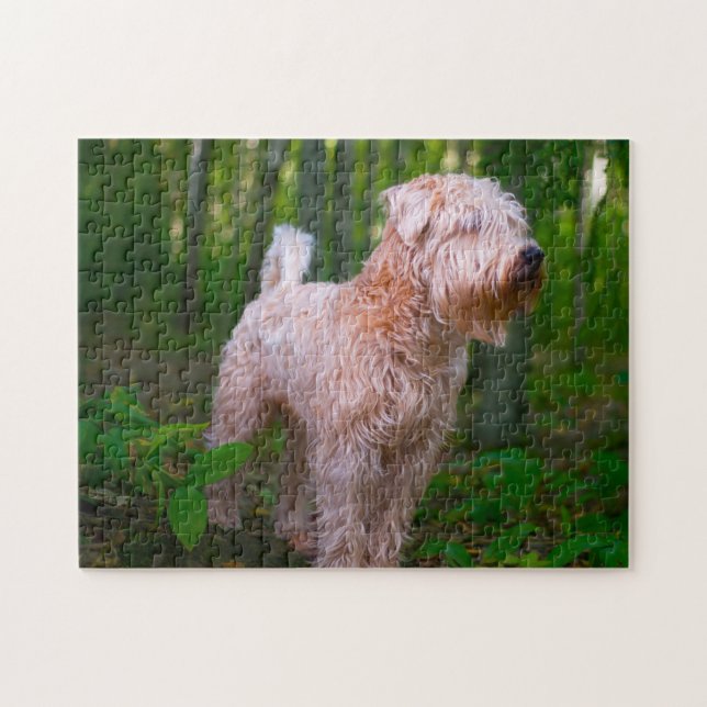 Puzzles de chien Terrier Irlandais. (Horizontal)
