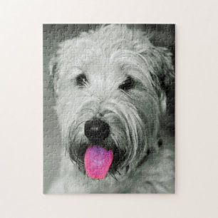 Puzzles de chien Terrier Irlandais.