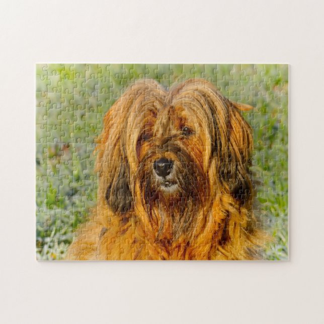 Puzzles de chien Terrier Tibétain. (Horizontal)