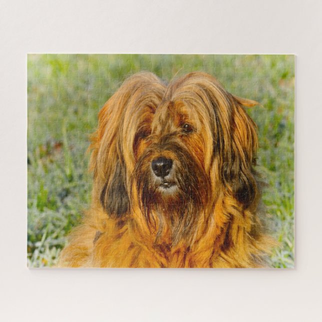 Puzzles de chien Terrier Tibétain. (Horizontal)