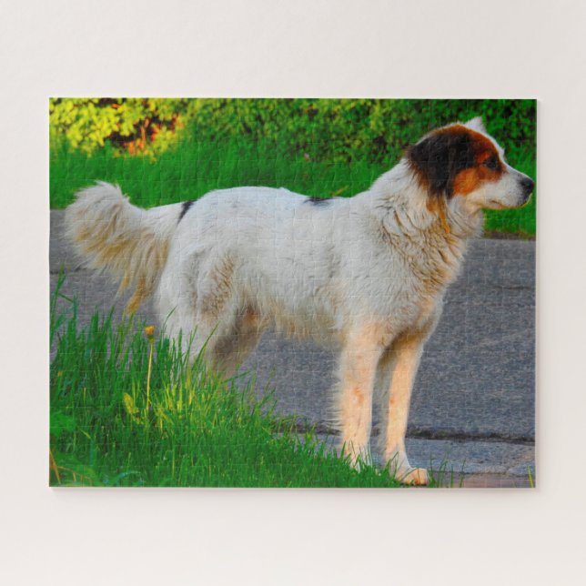 Puzzles de chien Tornjak. (Horizontal)