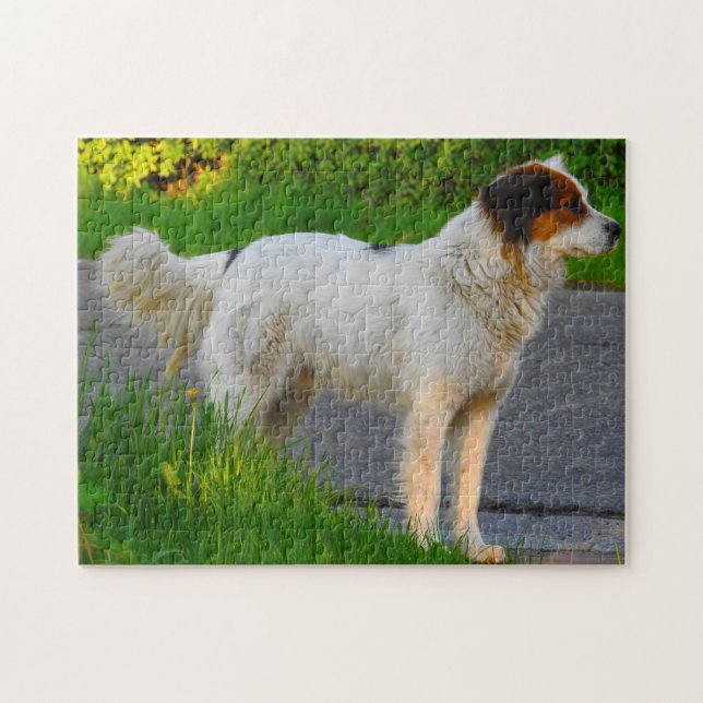 Puzzles de chien Tornjak. (Horizontal)