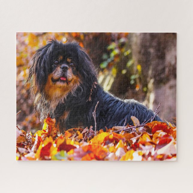 Puzzles de chiens Spaniel Tibétains. (Horizontal)