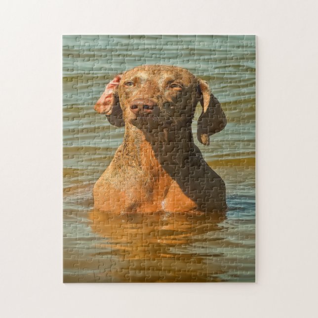 Puzzles de chiens Weimaraner. (Vertical)