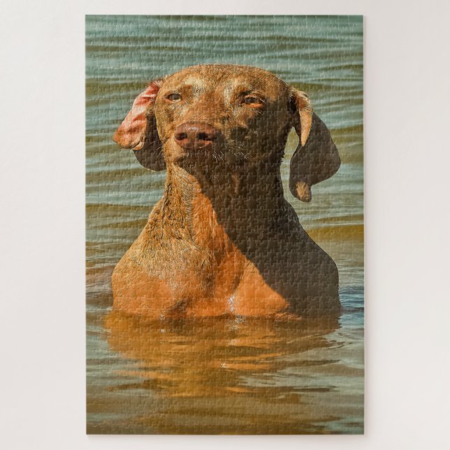Puzzles de chiens Weimaraner. (Vertical)