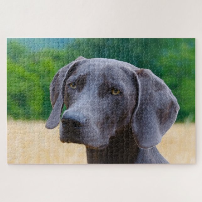 Puzzles de chiens Weimaraner. (Horizontal)