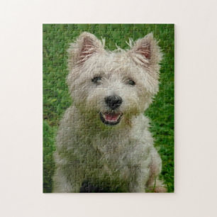 Puzzles de chiens Westie.