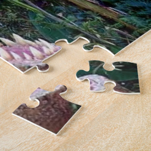 Puzzles de dinosaures pour enfants