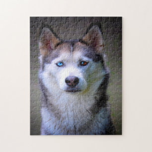 Puzzles de Husky Sibérien.