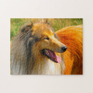Puzzles de Rough Collie.