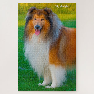 Puzzles de Rough Collie.