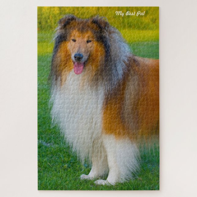 Puzzles de Rough Collie. (Vertical)