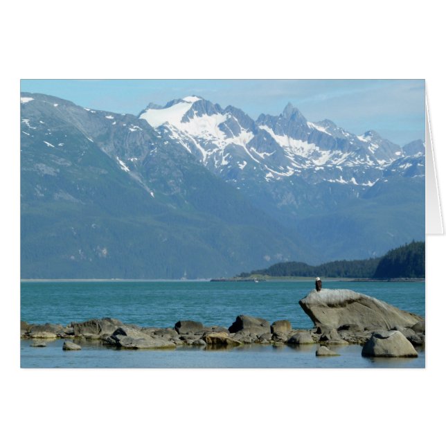 Pygargue à tête blanche à Skagway en Alaska (Devant horizontal)